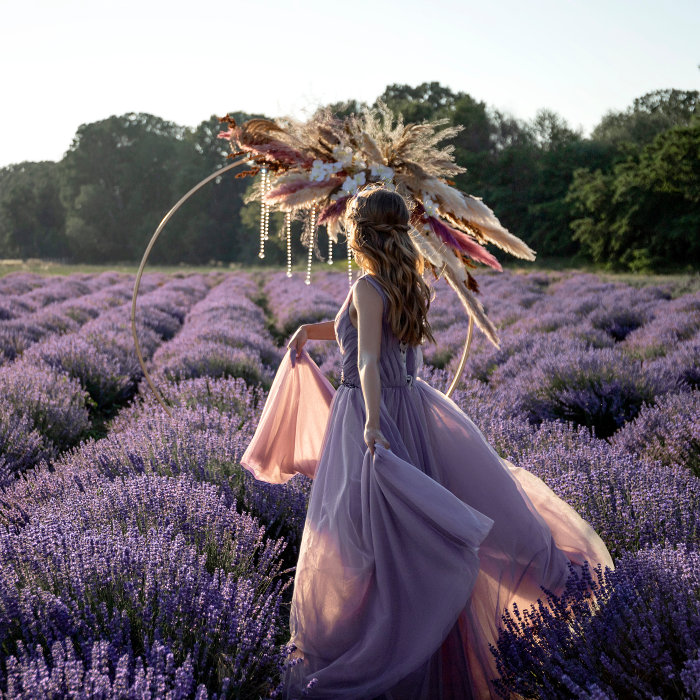 Lavandes Champ Mariée Événement Mariage Fleurs